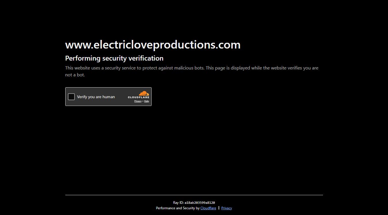 Screenshot of ELECTRIC LOVE LLC