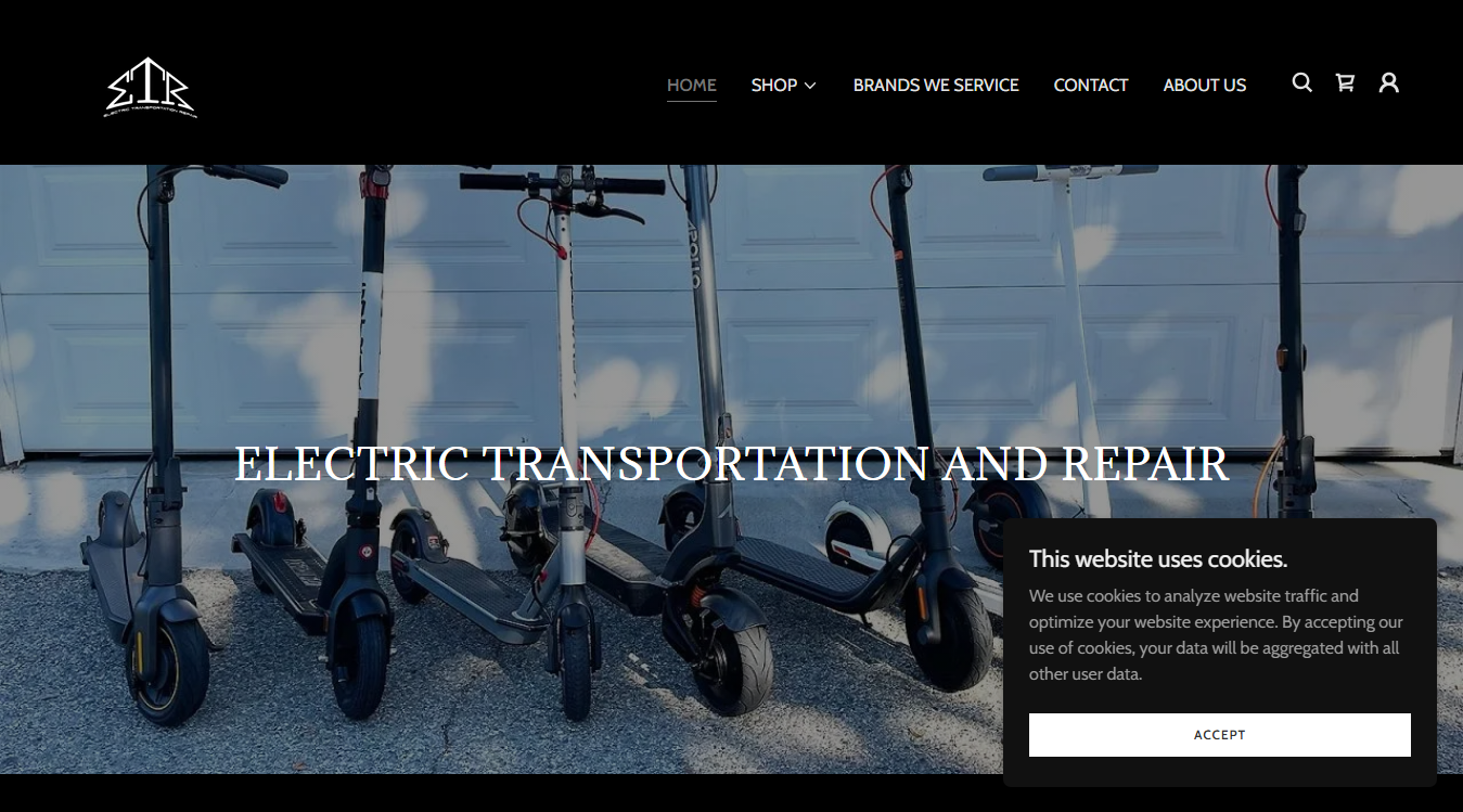 Screenshot of Electric Transportation Repair (ETR)